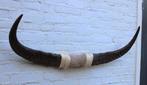 Texas style BULLBAR- 96 cm - waterbuffel hoorns (ref. i2), Ophalen of Verzenden, Nieuw, Boerderijdier, Overige typen