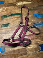 Halster full bordeaux rood, Dieren en Toebehoren, Ophalen of Verzenden, Zo goed als nieuw, Overige soorten