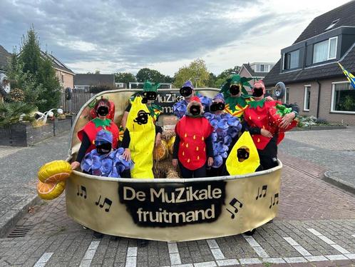 Muzikale Fruitmand voor Optocht, Hobby en Vrije tijd, Feestartikelen, Gebruikt, Feestartikel, Carnaval, Ophalen