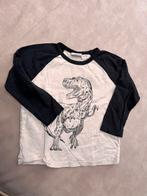 Zara Dino Shirt - Maat 86, Ophalen of Verzenden, Zo goed als nieuw, Jongen of Meisje
