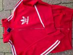 Jasje, Kleding | Heren, Ophalen of Verzenden, Zo goed als nieuw