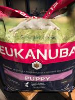 Eukanuba puppy Smal breed ( toy poedel, maltezer, maltipo), Dieren en Toebehoren, Ophalen of Verzenden, Hond