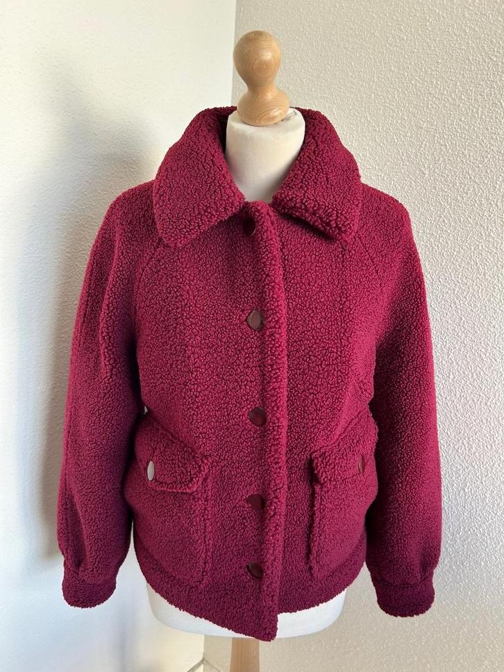 King Louie maat 38 teddy jas wijnrood 2628, Kleding | Dames, Jassen | Winter, Zo goed als nieuw, Maat 38/40 (M), Rood, Ophalen of Verzenden