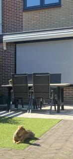 Grijze handmatige zonwering screen, Tuin en Terras, Tuinsets en Loungesets, Ophalen, Gebruikt, Kunststof, 2 zitplaatsen