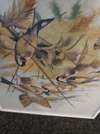 Schilderij met vogels, Ophalen of Verzenden