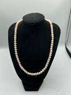 Zoetwater Parel Ketting - 40-50cm, Sieraden, Tassen en Uiterlijk, Kettingen, Overige materialen, LF JEWELRY, Verzenden, Wit