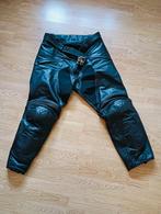 Dainese motor broek, Motoren, Kleding | Motorkleding, Dainese, Broek | leer, Dames, Ophalen of Verzenden