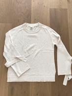 Knit-Ted trui pull crème wit m, Maat 38/40 (M), Wit, Ophalen of Verzenden, Zo goed als nieuw