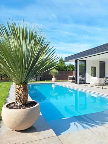 Luxe sierpotten van luca lifestyle  beschikbaar voor biedingen