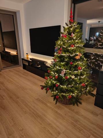Kerstboom beschikbaar voor biedingen
