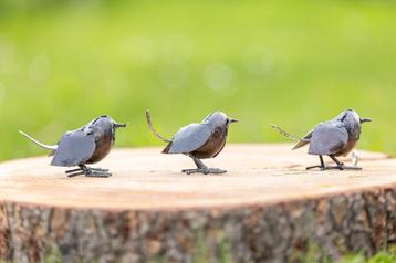 Mooievogels - metalen vogels