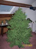 Kunstkerstboom, Diversen, Kerst, Ophalen, Gebruikt