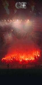 GEZOCHT: Vak-P seizoenskaart, Seizoenskaart, Eén persoon, Augustus