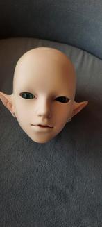 Bjd hars hoofd met ogen legit DOLL FAMILY-H. BJD 1/3 Formaat, Verzamelen, Poppen, Ophalen of Verzenden, Zo goed als nieuw, Pop