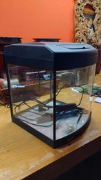 Klein aquarium, Ophalen, Gebruikt, Leeg aquarium