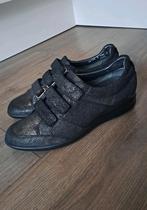 Nieuwe dames sneakers van Xsensible., Xsensible, Zwart, Nieuw, Ophalen of Verzenden
