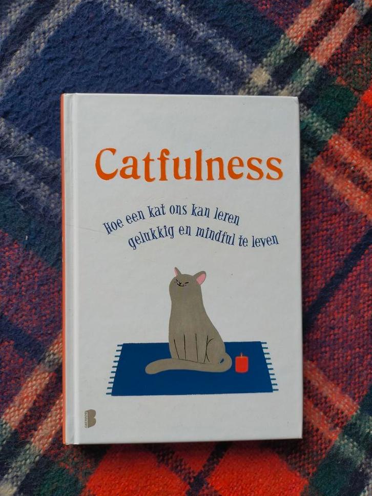 Paolo Valentino - Catfulness (Nederlands), Boeken, Psychologie, Zo goed als nieuw, Persoonlijkheidsleer, Ophalen of Verzenden