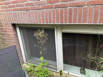 Muggen horren beschikbaar voor biedingen