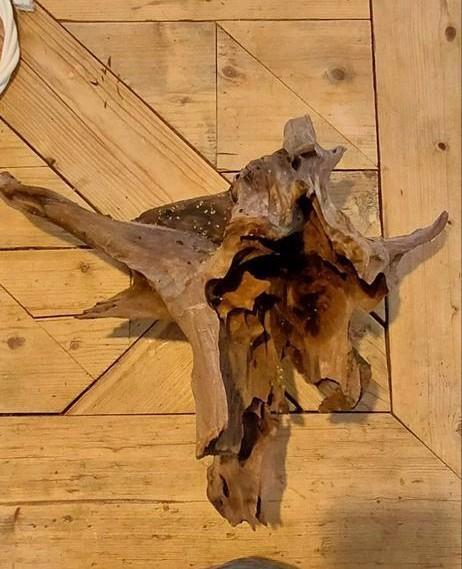 Mooi stuk aquariumhout. Groot., Dieren en Toebehoren, Vissen | Aquaria en Toebehoren, Gebruikt, Plant(en), Steen of Hout, Ophalen