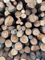 Gezocht: Boomstammen/Takken/Balken, Tuin en Terras, Haardhout, Minder dan 3 m³, Ophalen