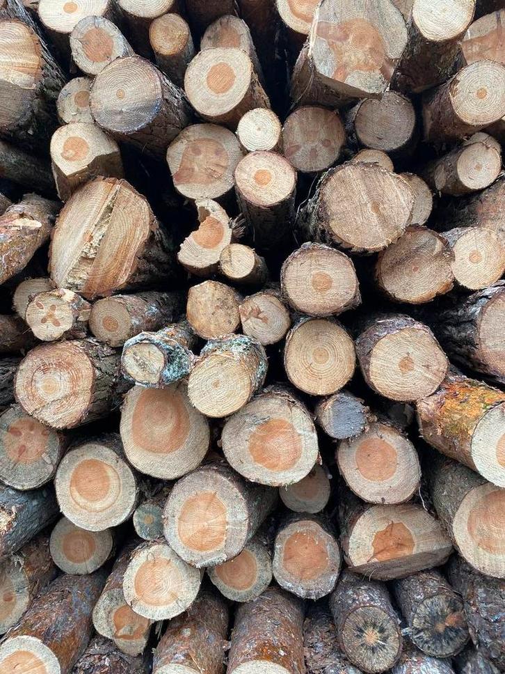 Gezocht: Boomstammen/Takken/Balken, Tuin en Terras, Haardhout, Minder dan 3 m³, Ophalen