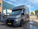 Paardenwagen Fiat Ducato, Zeer mooi en kompleet., Ophalen of Verzenden, Gebruikt, Aluminium, 2-paards trailer