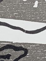 Lithografie, Antiek en Kunst, Kunst | Litho's en Zeefdrukken, Verzenden