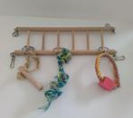 Hamster ladder, Ophalen of Verzenden, Zo goed als nieuw, Loopwiel of Rad