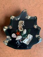 Decoratief ornament, zeepaardje en schelpen in hars gegoten., Ophalen of Verzenden