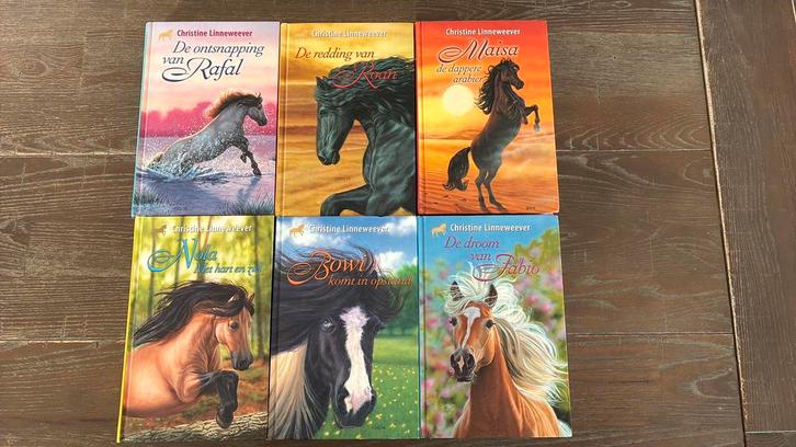Christine Linneweever - 6x -Maisa Roan Nola Bowi Fabio Rafal, Boeken, Kinderboeken | Jeugd | 10 tot 12 jaar, Zo goed als nieuw