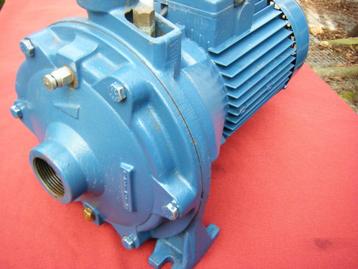 Waterpomp :  PEDROLLO -220V  - 160 L/M   - 9.6 KUUB PER UUR beschikbaar voor biedingen