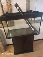 Is een goede aquarium Hoi 80cm lang 50cm hoog 35cm breed met, Dieren en Toebehoren, Ophalen of Verzenden, Leeg aquarium