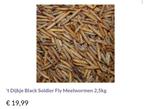 Black soldier fly meelwormen 10kg, Ophalen of Verzenden, Pluimvee