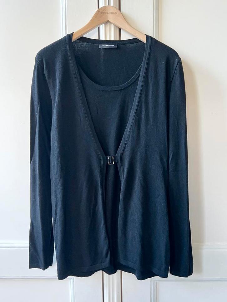 Frank Walder trui/vest viscose/polyamide zwart, maat 42, Kleding | Dames, Truien en Vesten, Zo goed als nieuw, Maat 42/44 (L)