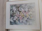 Aquarel, Antiek en Kunst, Kunst | Schilderijen | Klassiek, Ophalen of Verzenden