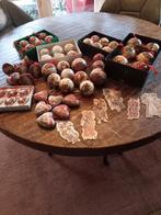 60 stuks. Zeer apart, Huis en Inrichting, Woonaccessoires | Kransen, Ophalen of Verzenden