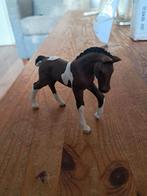 Schleich Trakehner Veulen - Speelgoed Paard, Ophalen of Verzenden, Zo goed als nieuw, Overige typen