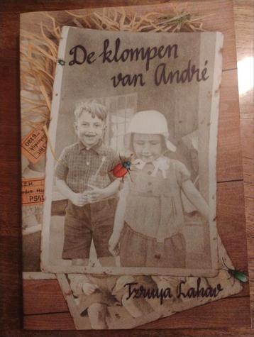De Klompen van André - Tzruya Lahav beschikbaar voor biedingen