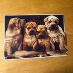 Kaart 3d dieren honden 1, Ophalen of Verzenden, Nieuw, Overige thema's