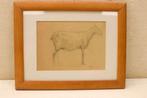 Prent /Tekening van een schaap 45940