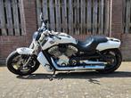 Vrod muscle harley davidson, Particulier, 2 cilinders, Chopper