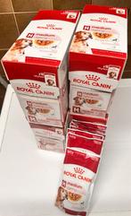 Royal Canin Hond 46  Maaltijdzakjes  Natvoer, Ophalen, Nieuw, Overige typen