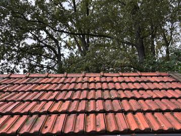 Vlakke muldenpan rood beschikbaar voor biedingen