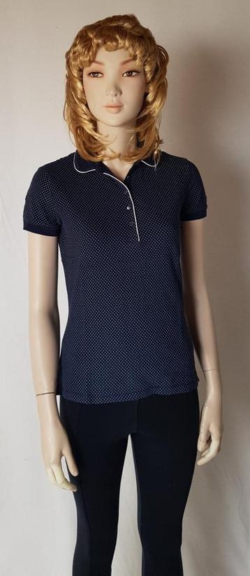 T-shirt / Tommy Hilfiger  beschikbaar voor biedingen