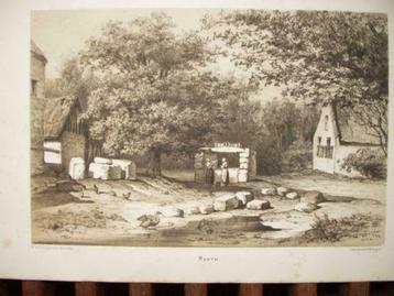 038 / Rooth    Litho 1878 beschikbaar voor biedingen
