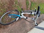 Pegasus damesfiets framemaat 53, Versnellingen, Zo goed als nieuw, 50 tot 53 cm, Ophalen