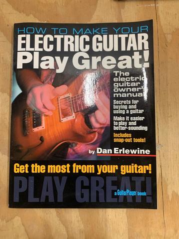 Elektrische Gitaar Play Great - Dan Erlewine beschikbaar voor biedingen