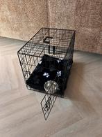 Bench, Dieren en Toebehoren, Hondenhokken, Ophalen, Zo goed als nieuw, Minder dan 75 cm, Minder dan 65 cm