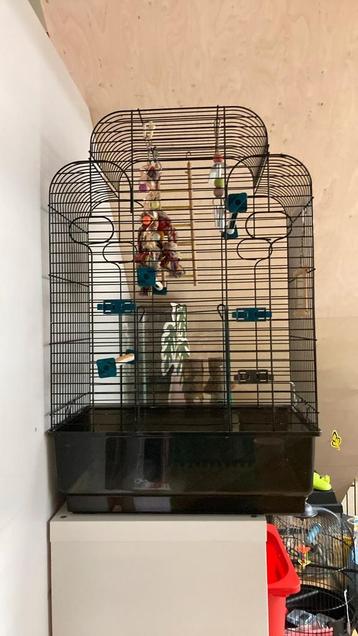 Vogelkooi beschikbaar voor biedingen