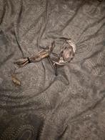 Fabbian beluga tafellamp, Ophalen of Verzenden, Zo goed als nieuw